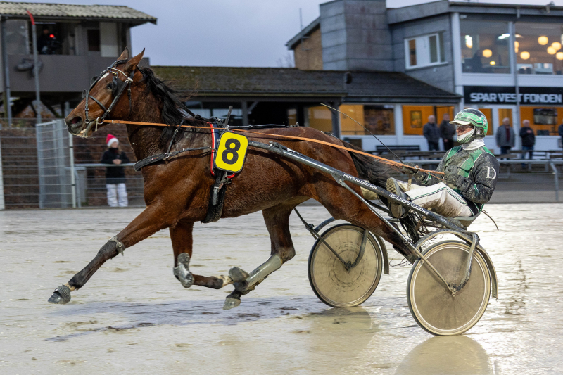 Sådan er det gået på BioCirc Trav Arena Skive magnus_tingh_j-1