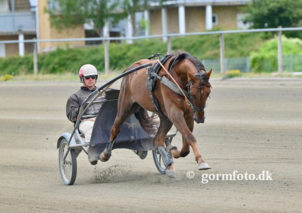 martin hansen 1024x724 1