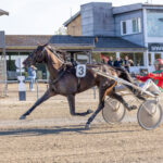 Perfekt sæsondebut for Monterey Market montery_market_2