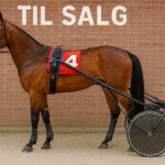 Nyt stort salg Nyt stort salg