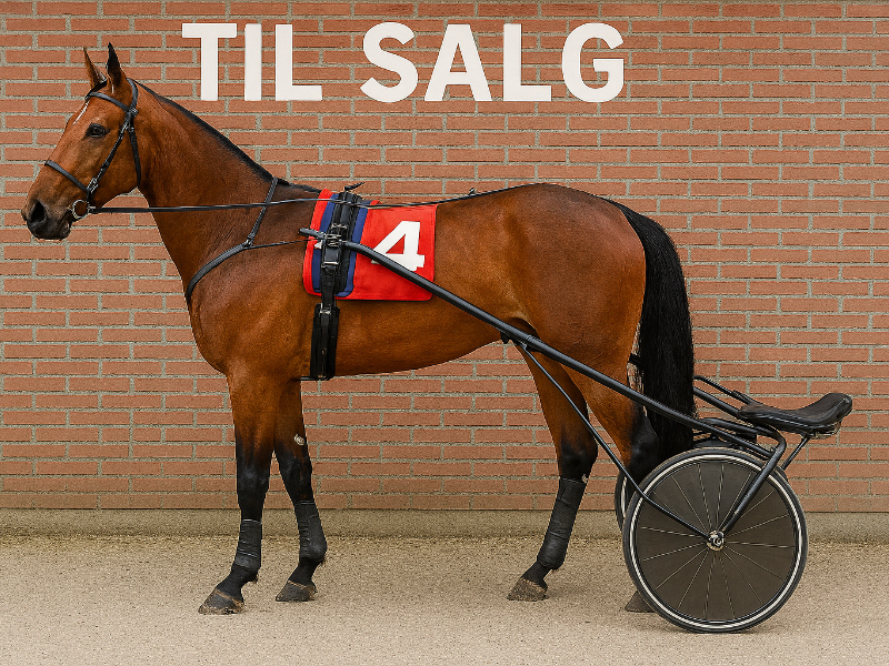 Nyt stort salg Nyt stort salg