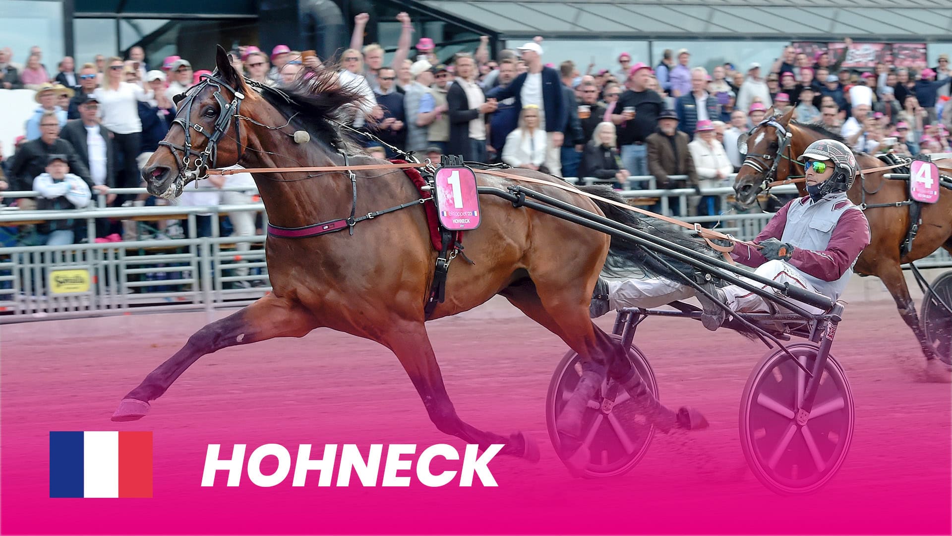Elitloppet - Ham har vi selv oplevet på Lunden ´Ny_Hohneck_1920x1080